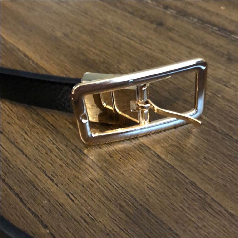 Express reversible belt